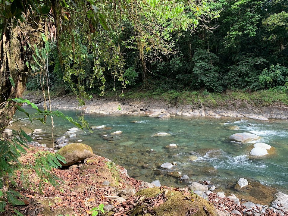 River Hike with Damian